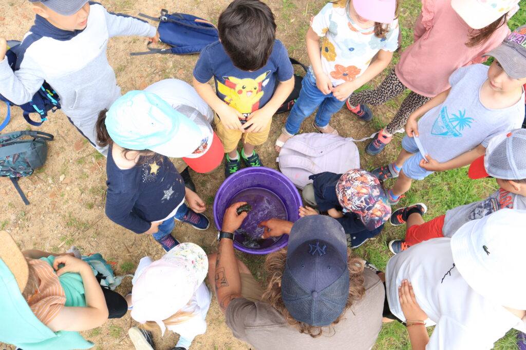 Exploration des enfants au bord de l'eau à la recherche d'insectes aquatiques