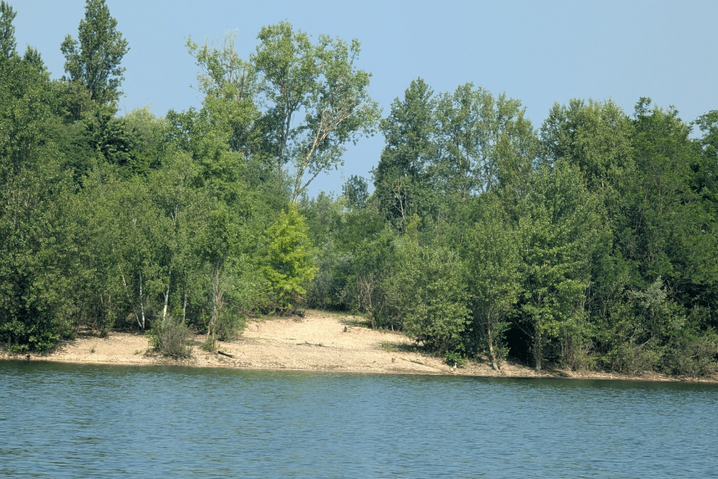 Poste 2 Carpe Fabulac Fishing