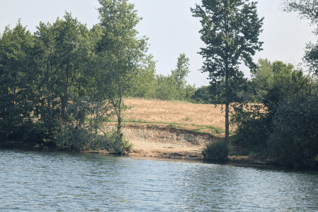 Poste 6 Carpe Fabulac Fishing