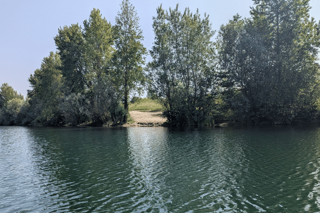 Poste 7 Carpe Fabulac Fishing