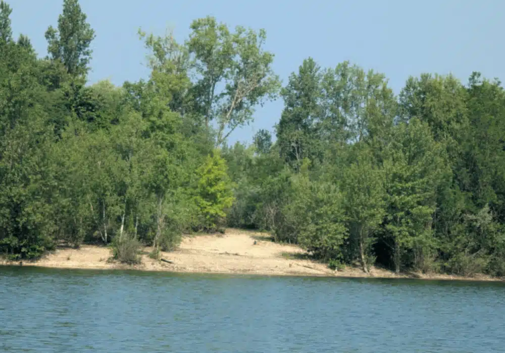 Poste 2 pêche carpe Fabulac, belle prise réalisée sur ce poste