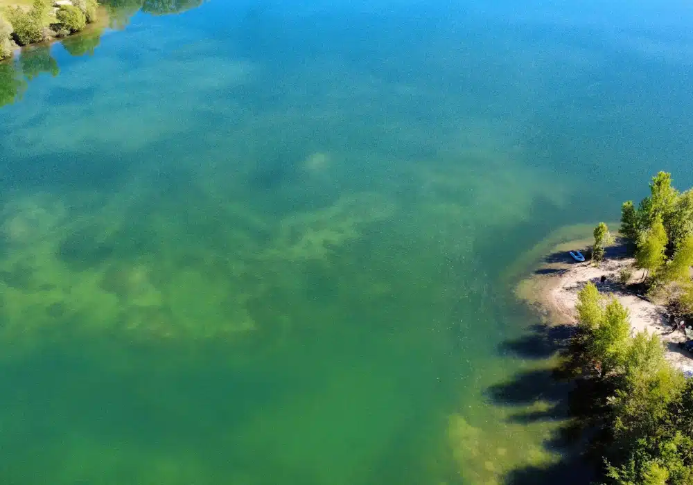 Poste 2 pêche carpe Fabulac, vue sur les herbiers en pleine eau