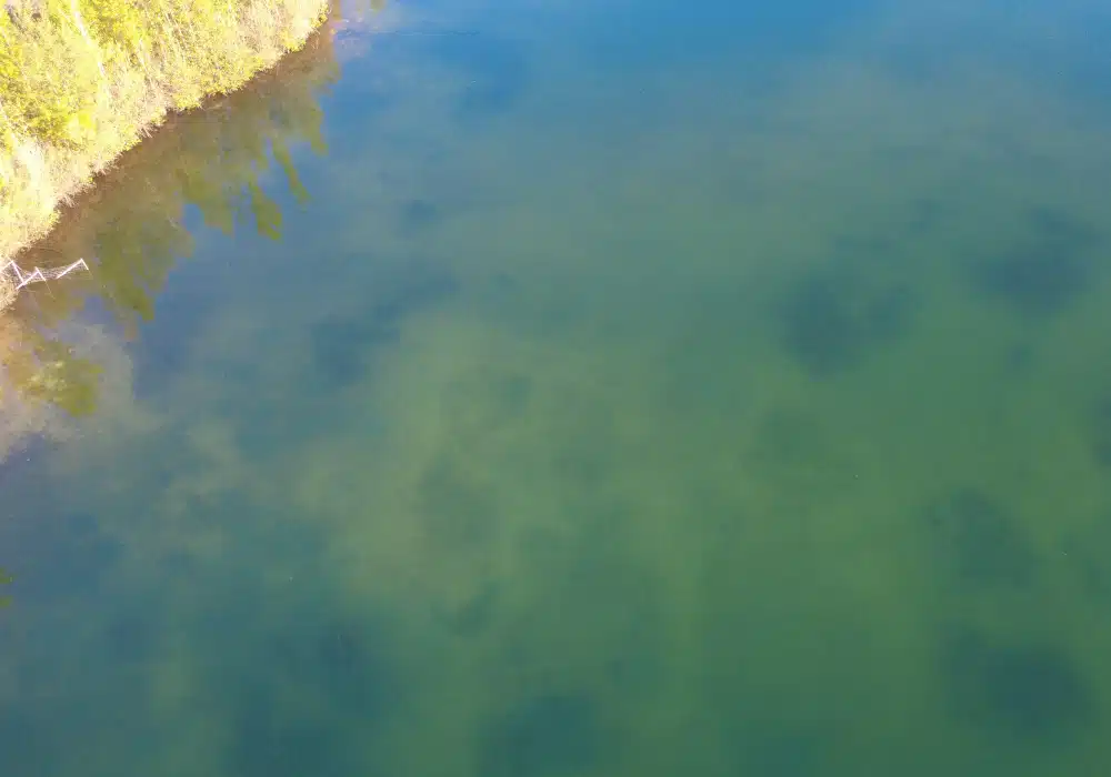 Poste 3 pêche carpe Fabulac, belle prise réalisée sur ce poste